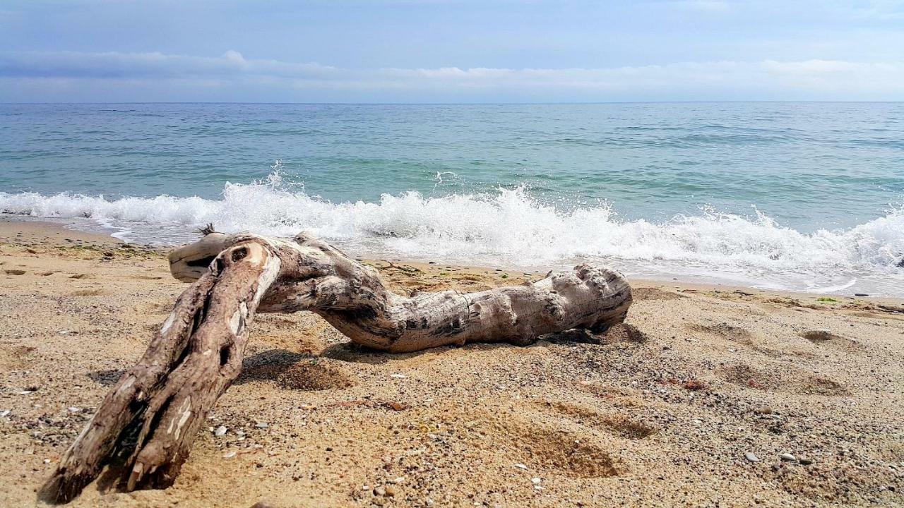 Silver Beach Delux Apartments Byala  Bagian luar foto